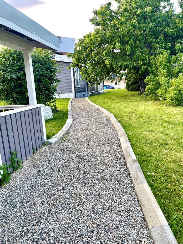 Gangsti ved vakkert morelltre