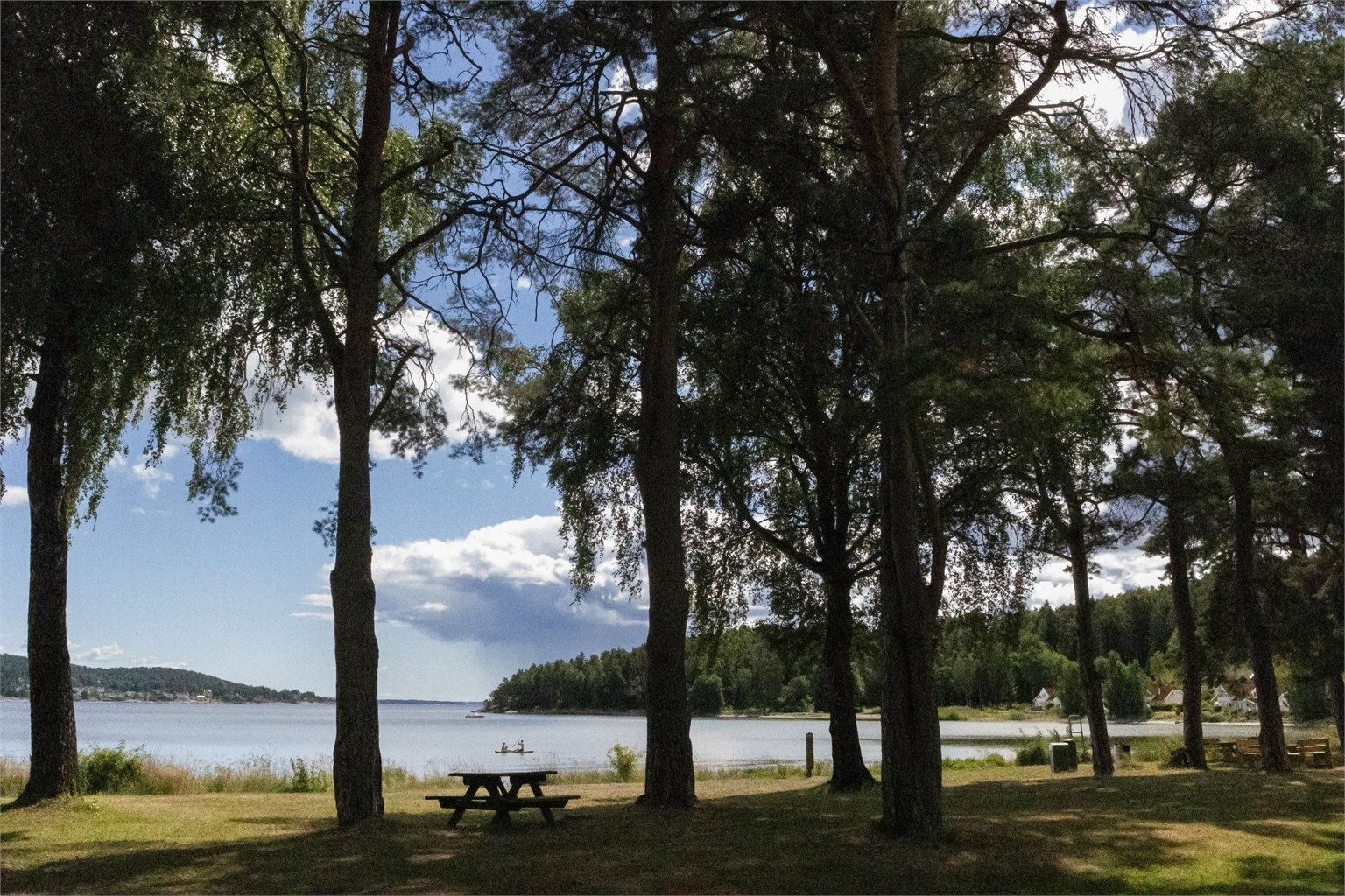 Nærområdet.