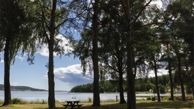 Nærområdet.