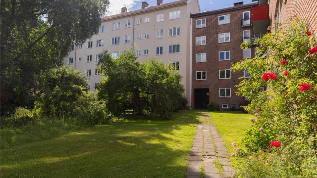 Velstelte fellesarealer med plen, beplantning og gode soner for avslapning utendørs.