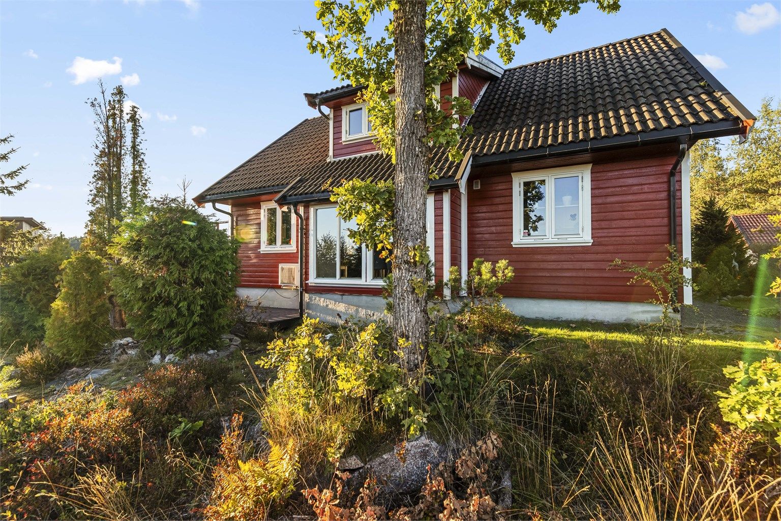 Frodig naturtomt med naturlig vegetasjon og lite behov for krevende plenvedlikehold.