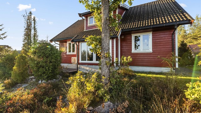 Frodig naturtomt med naturlig vegetasjon og lite behov for krevende plenvedlikehold.