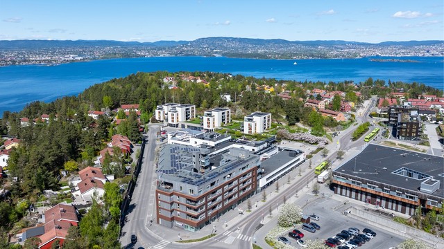 Få minutters gange til kjøpesenter på Tangen med forretninger, kaféer og de fleste servicetilbud, samt kommunesenteret, Tangenten, med bibliotek og helsestasjon.
På Tangen finner man også barnehager, barneskole og ungdomsskole.