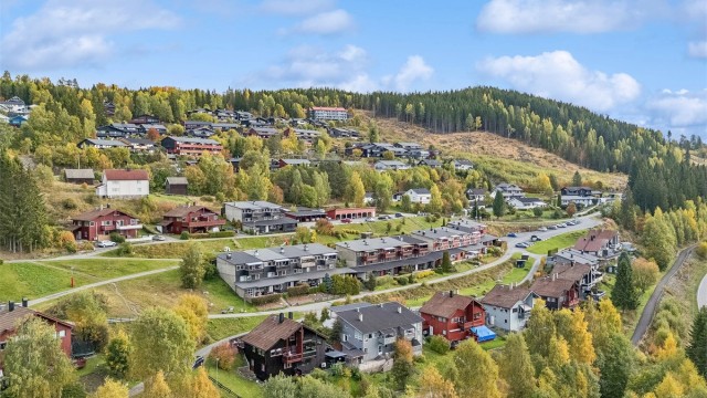 Eiendommen ligger i et rolig og veletablert boligområde i Vårsetergrenda, ca. 5 km fra Lillehammer sentrum.