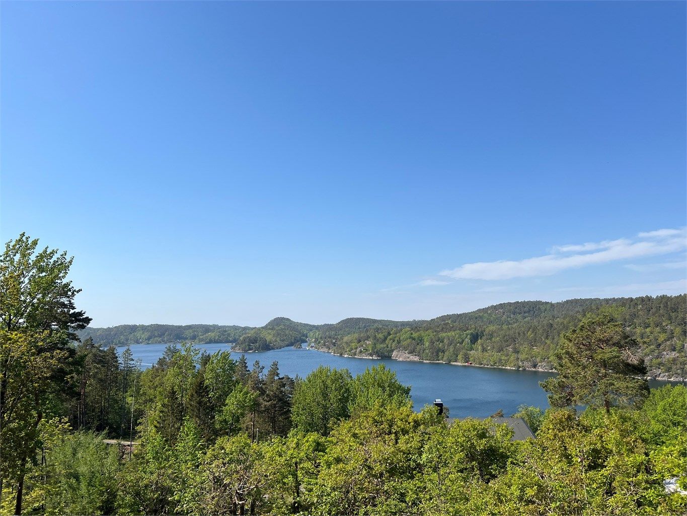 Utsikt fra eiendommen en sommerdag.