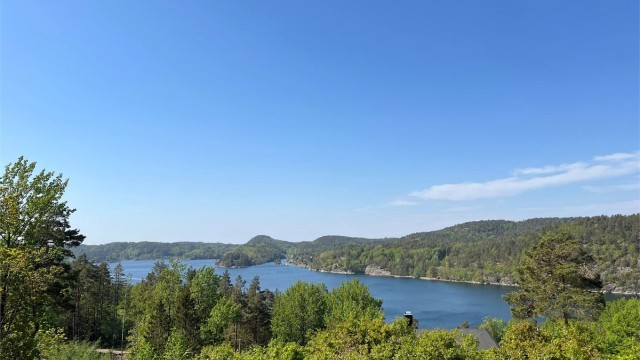 Utsikt fra eiendommen en sommerdag.