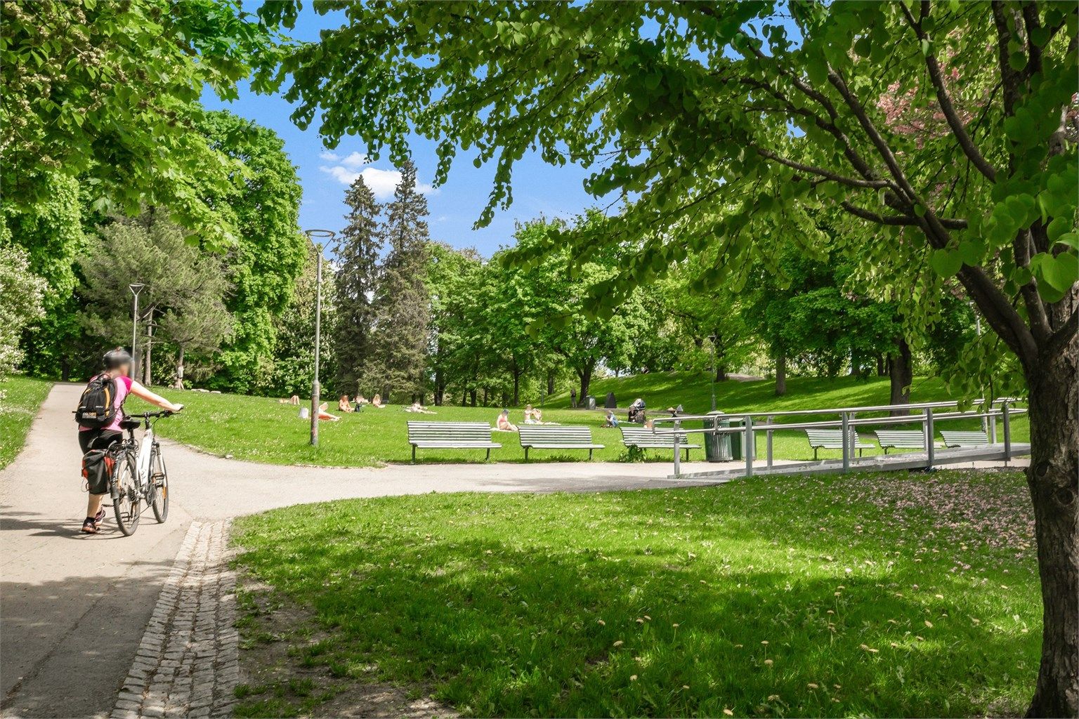 Nærområdet - Sagene