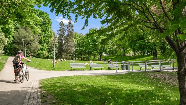 Nærområdet - Sagene