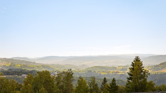 Utsikt fra verandaen.