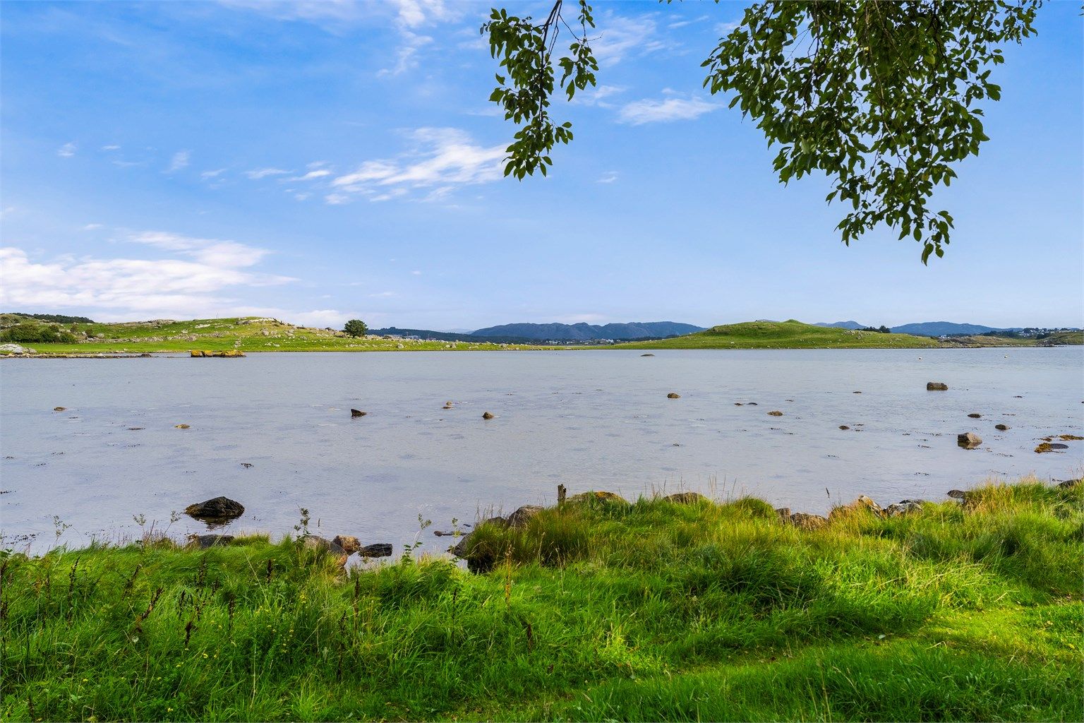 Tett på flott natur