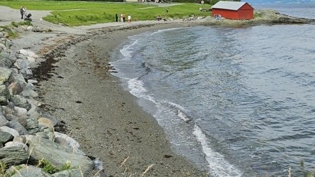 Det er flere badeplasser langs Ladestien. Her Ringvebukta