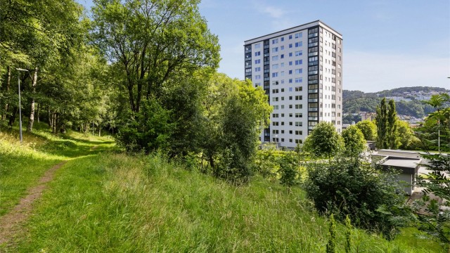 Kjekke turområder rett i bakkant av boligblokken