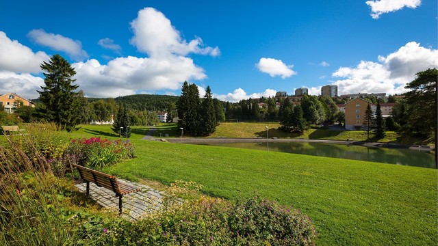 Badedammen på Tonsenhagen