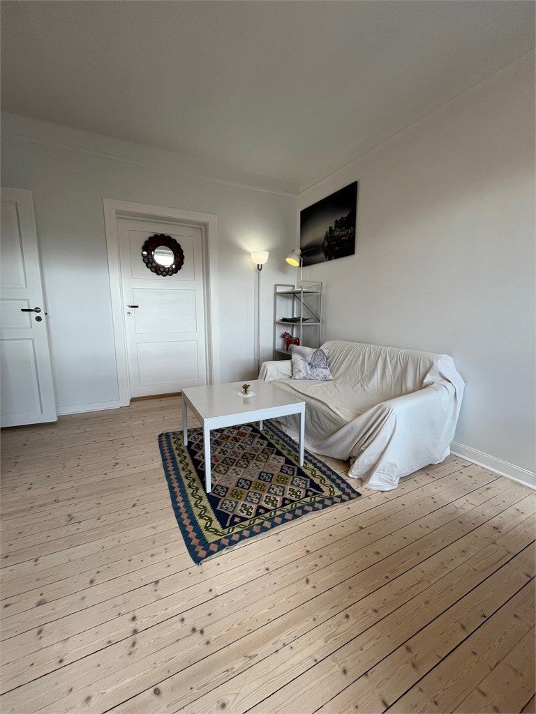 Plass til både spisebord og sofadel i stue/kjøkken.