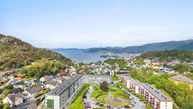 - Oversiktsbilde over nærområdet -