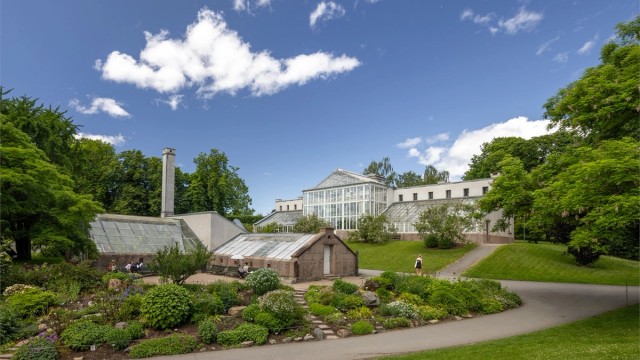 Frodige Botanisk Hage ligger rett opp bakken fra leiligheten og forvalter flere plantearter enn du kan navngi.