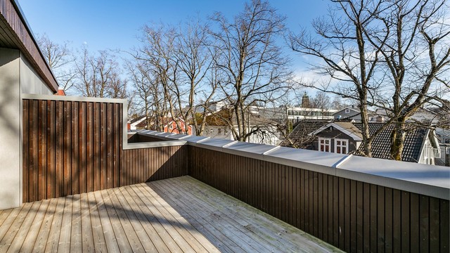 Alleen langs Løkkegata fylles av blader og blir fra utpå våren et vakkert skue.