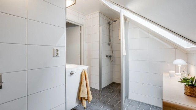 Dusjnisje med glassdør og vegghengt dusjarmatur