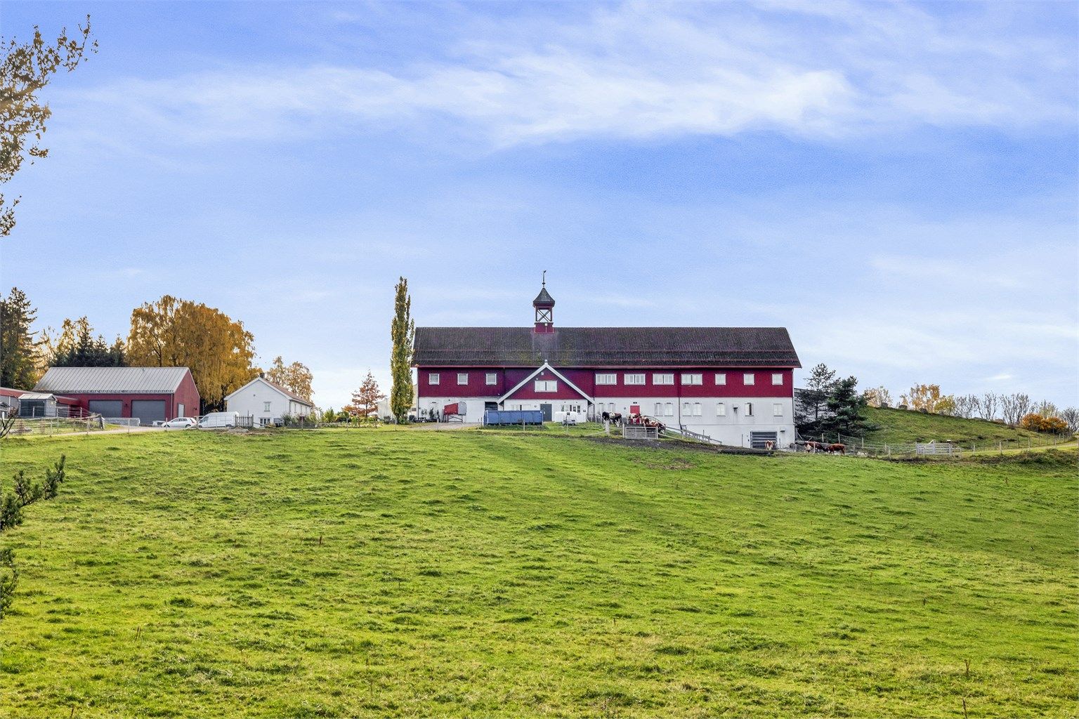 Nordre Lindeberg gård. Her er det blant annet husdyr