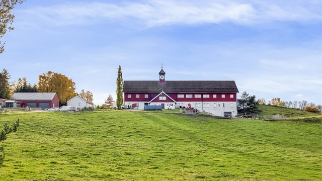 Nordre Lindeberg gård. Her er det blant annet husdyr