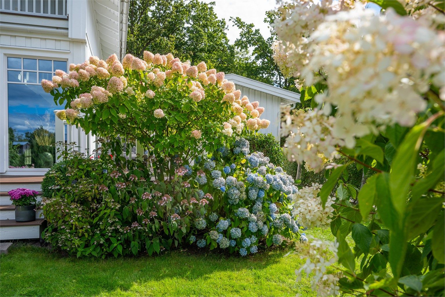 Detaljer fra den frodige og private hagen.