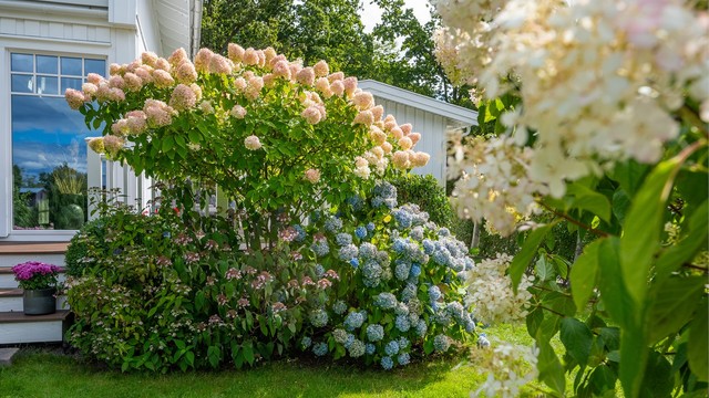 Detaljer fra den frodige og private hagen.