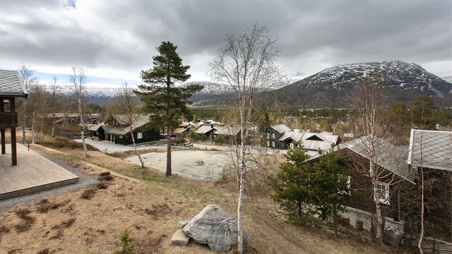 Utsikt fra eiendommen mot det etablerte og rolige hyttefeltet.