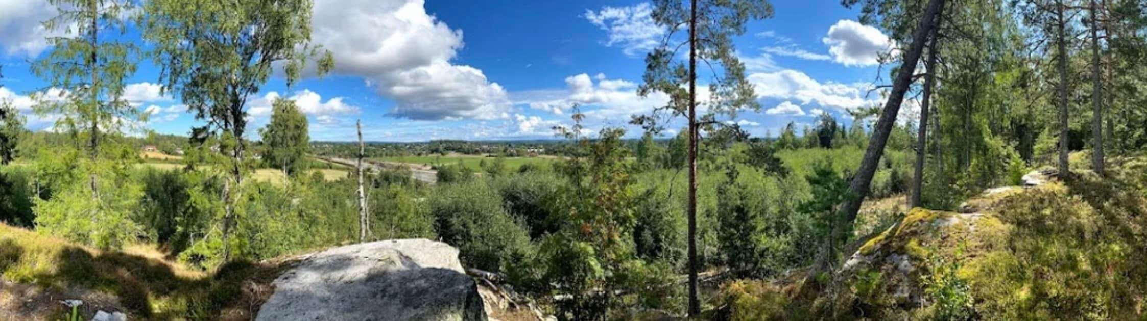 Det er kort vei til flotte rekreasjonsmuligheter i Finstadskogen. (Foto Marthe Arnesen)