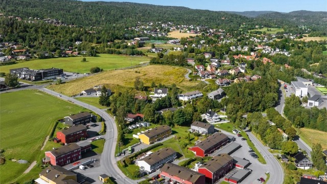 Sommerbilde av området