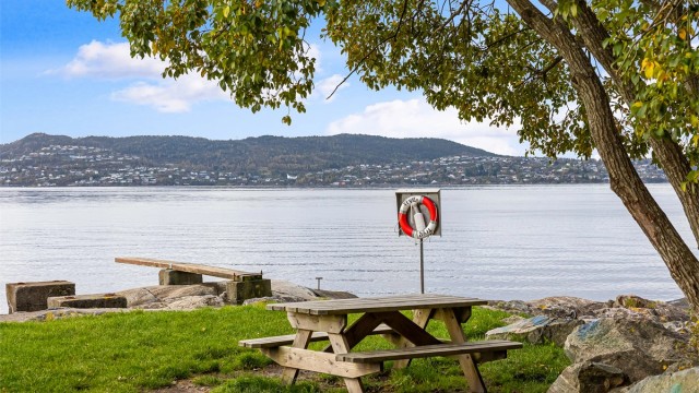 Flott friluftsområde og badeplass på Grønnskjæret på Tertnes.