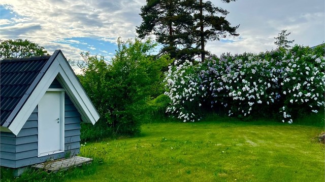 Svært frodig, og grønn hage som strekker seg utover hele 2.263 kvm tomt.