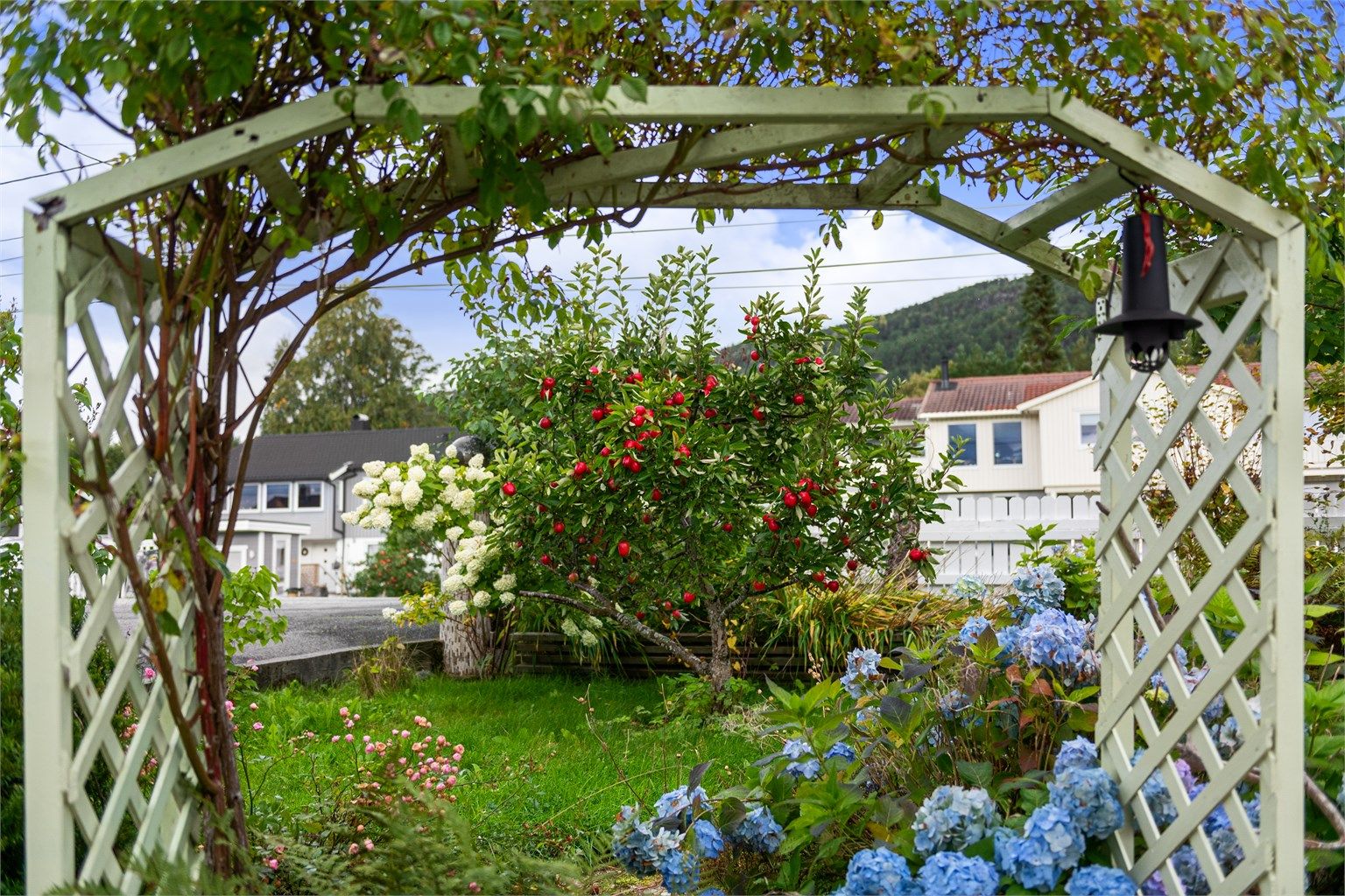 Rikelig opparbeidet og flott hage med beplantinger mot nord