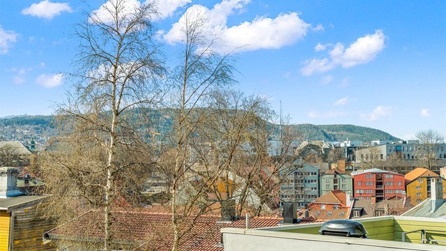 Fra boligen har du utsyn mot et etablert boligområde med nærhet til både Festningsparken og rekreasjonsmuligheter langs Nidelven.