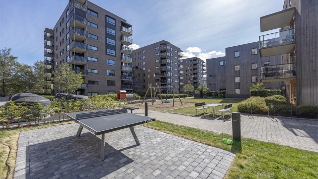 Felles tomt opparbeidet med blant annet asfalterte veier, grillplass, sittegrupper, plenarealer og
andre forskjellige beplantninger