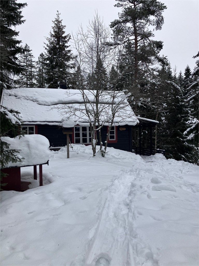 Selgers private bilder - vinter 2026