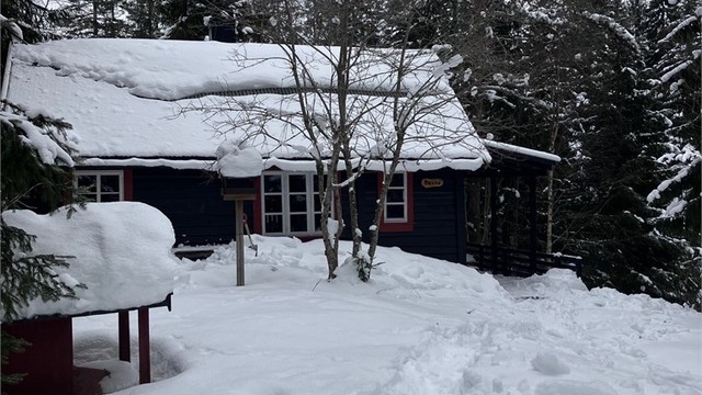 Selgers private bilder - vinter 2026