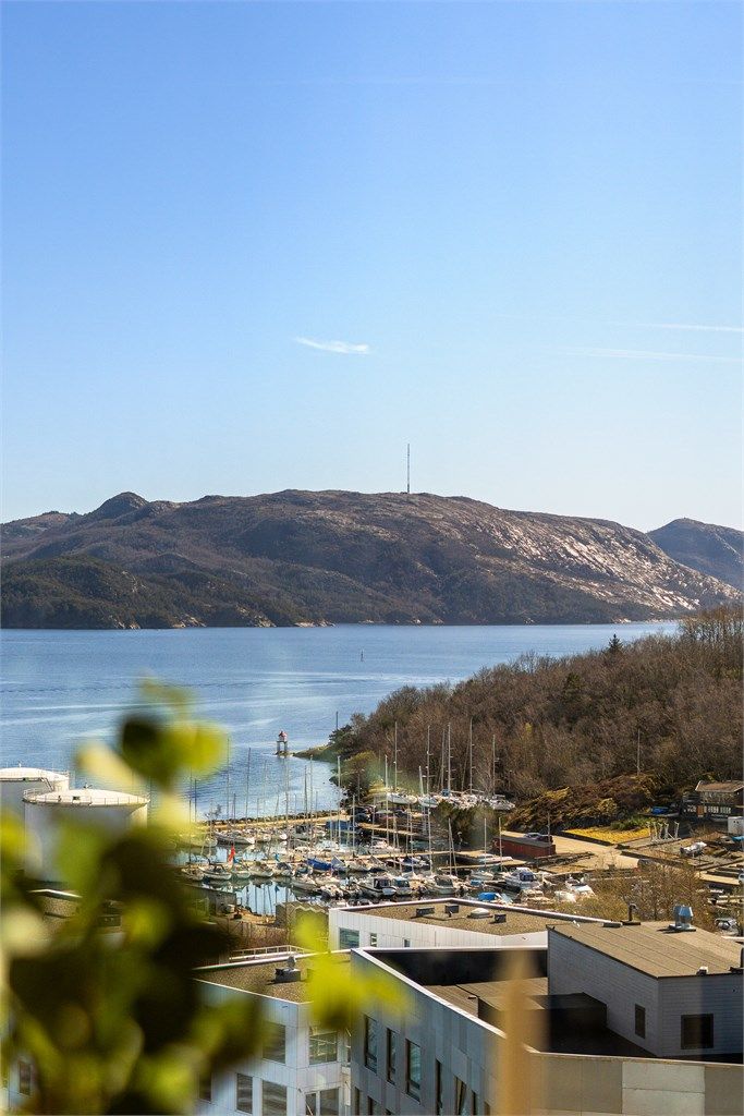 Her kan man senke roen og nyte fjord,  fjell og det maritime livet utenfor.