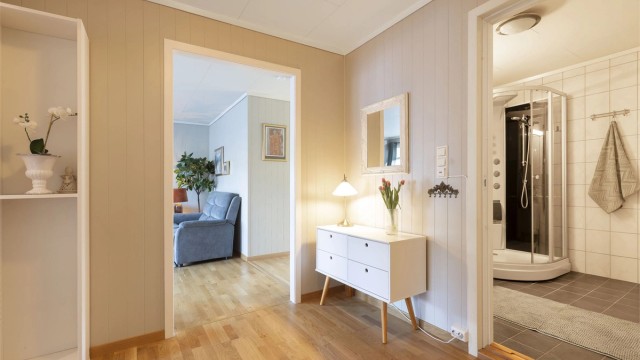 Romslig entré