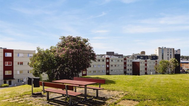 Fellestomt er opparbeidet med blant annet plenarealer, andre forskjellige beplantninger og sittegrupper.