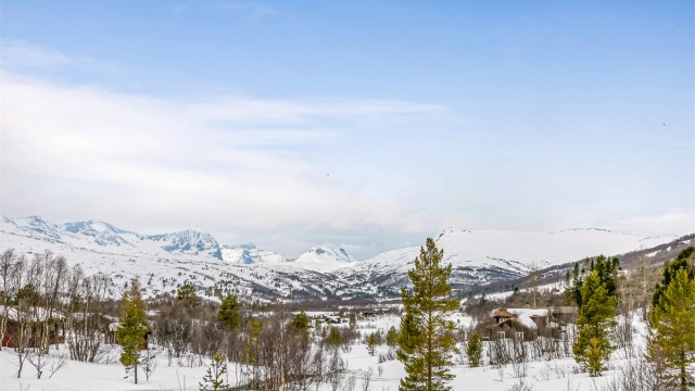 Nærmeste dagligvarebutikk er Nærbutikken Lønset som ligger ca. 23 minutter unna med bil, her får du blant annet dagligvarer, apotekvarer, fiskeutstyr, isfiskeutstyr, skismurning, ved, pakkeutlevering og fiskekort.