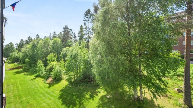 Med Østmarka som nærmeste nabo har du umiddelbar tilgang til turstier og lysløyper rett utenfor døren. Foto: Martine Eren Jacobsen