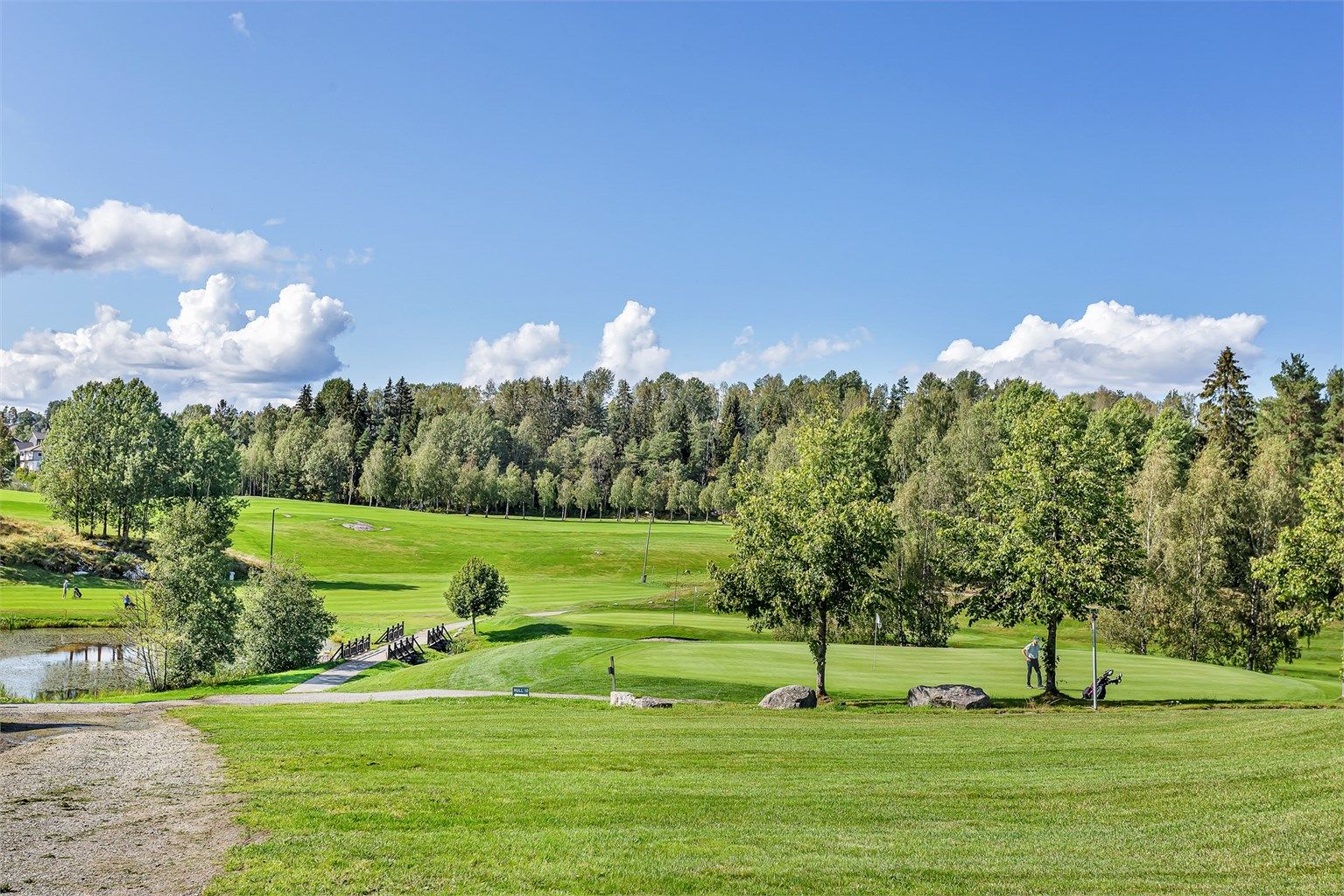 Område - Golfbane