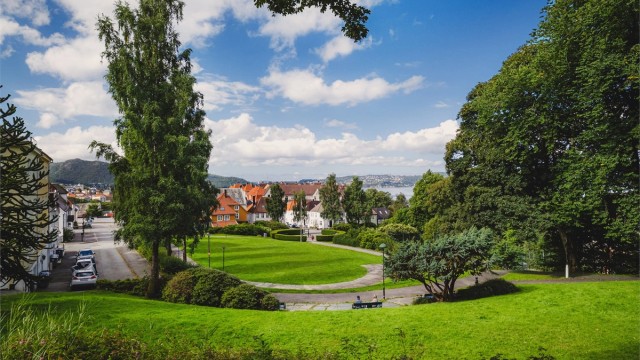 Meyermarken er et populært samlingspunkt i nærmiljøet, og byr på grønne omgivelser, aktivitetsmuligheter og et hyggelig sted å nyte hverdagen året rundt.