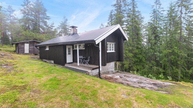 Velkommen til denne hytten med stor tomt øverst på Holterkollen