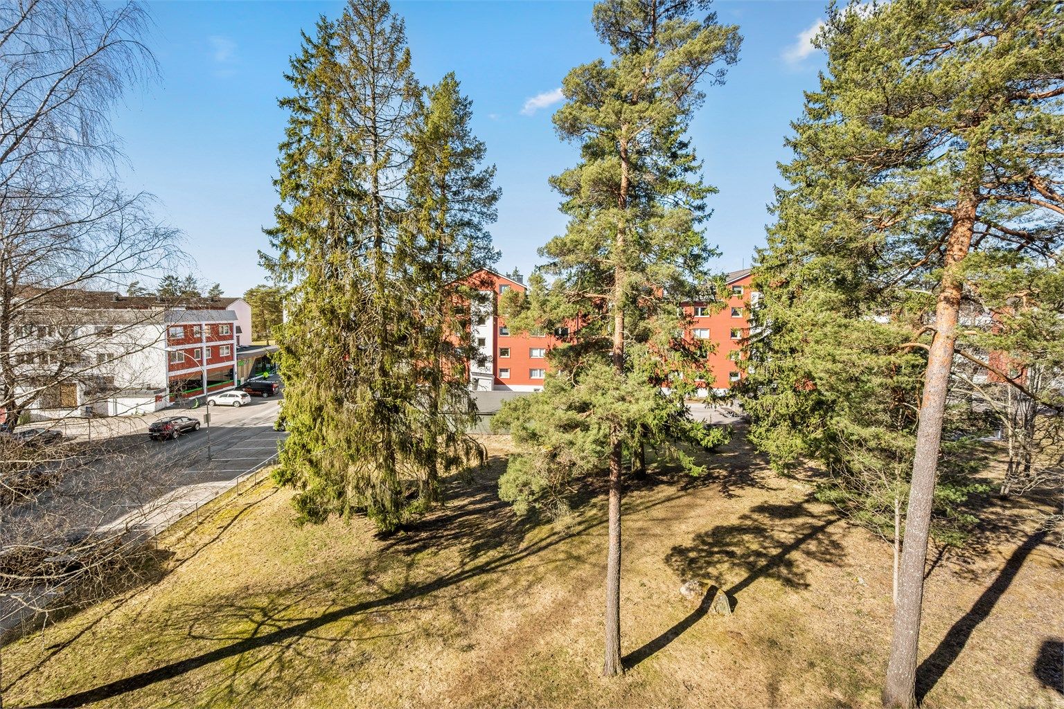 Fra leiligheten har du en fredelig og grønn utsikt.
