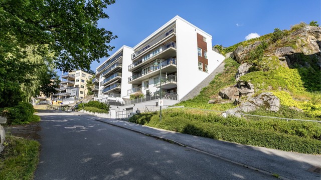 Sameiet består av 17 boligseksjoner og ligger tilbaketrukket i Røysåsen, like utenfor sentrum.
