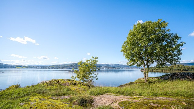 Nærområdet byr på svaberg og naturtomtpreg.