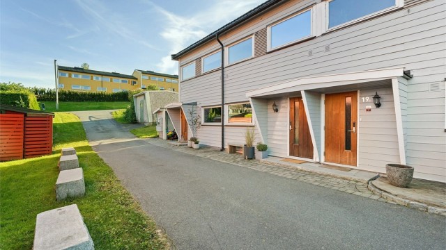 Sommerbilde av området