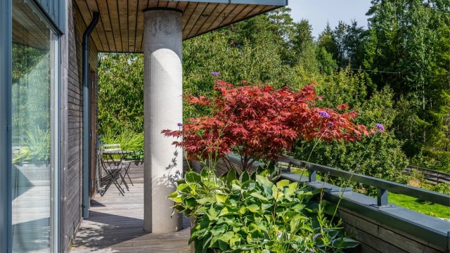 Pen beplantning i plantekasser på terrassen