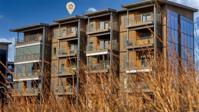 Capjonstien 1 presenteres av Amir Pedersen-Paydar i Krogsveen.